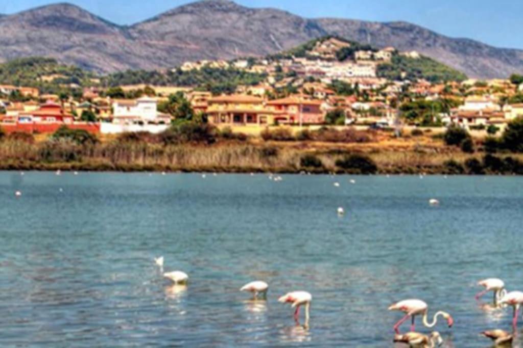 Villa With Private Pool And Close To The Beach Κάλπε Εξωτερικό φωτογραφία